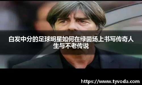 优游国际app