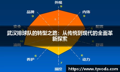 武汉排球队的转型之路：从传统到现代的全面革新探索