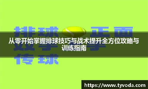 从零开始掌握排球技巧与战术提升全方位攻略与训练指南
